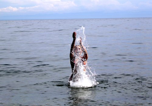 Амфибионты