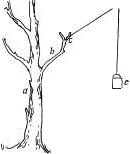 коробка с фруктами подвешена на высоте двух метров над землей коробка с фруктами подвешена на высоте двух метров над землей