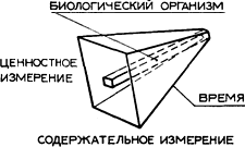Структура идентичности по Г. Брейкуэлл Структура идентичности по Г. Брейкуэлл
