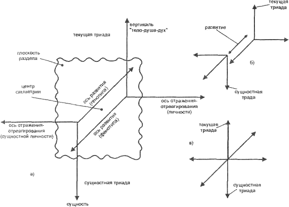 Модель структуры человеческого существа Модель структуры человеческого существа