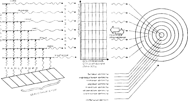 Геном, фенотипы, контексты Геном, фенотипы, контексты