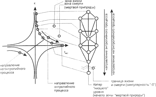 Зона жизни и зона смерти
