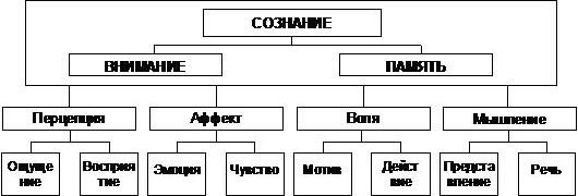 Функциональная структура психики человека в психологических понятиях
